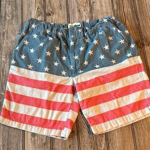 Tipsy Elves shorts medium Patriotic Star Striped Men's america holiday